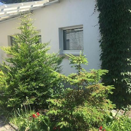 Kleines Haeuschen Am Garten In Ντάρμσταντ Εξωτερικό φωτογραφία